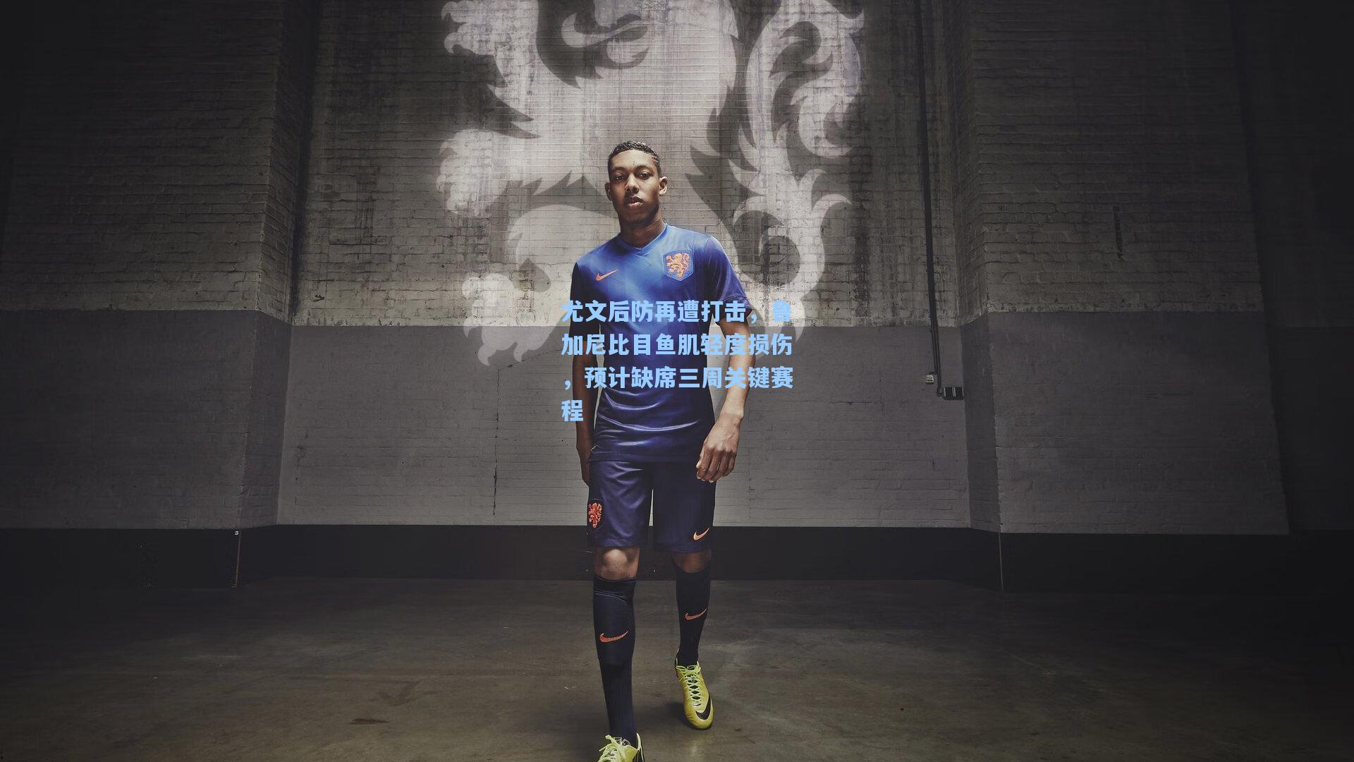 尤文后防再遭打击,鲁加尼比目鱼肌轻度损伤,预计缺席三周关键赛程